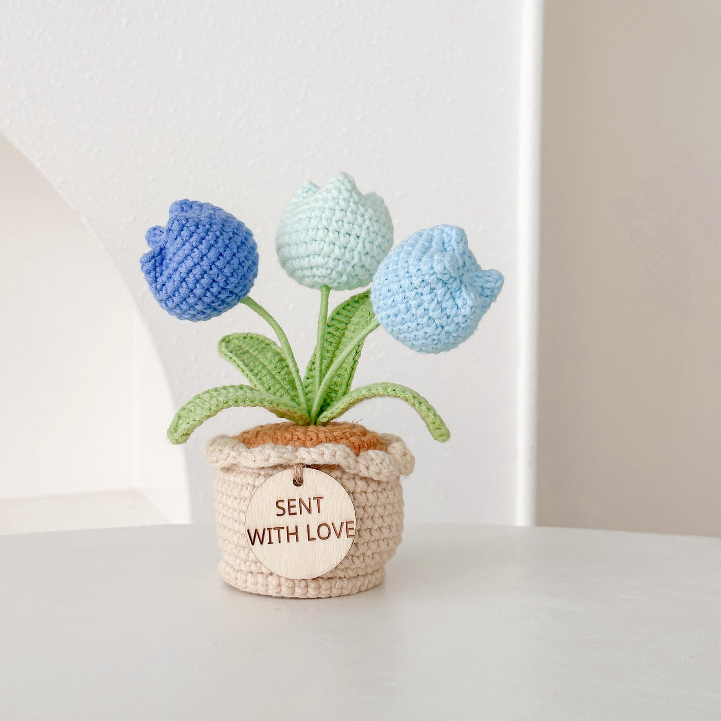 Crochet Tulip/Rose Flower Pot: Handmade Desk Decor with Positive Affirmation