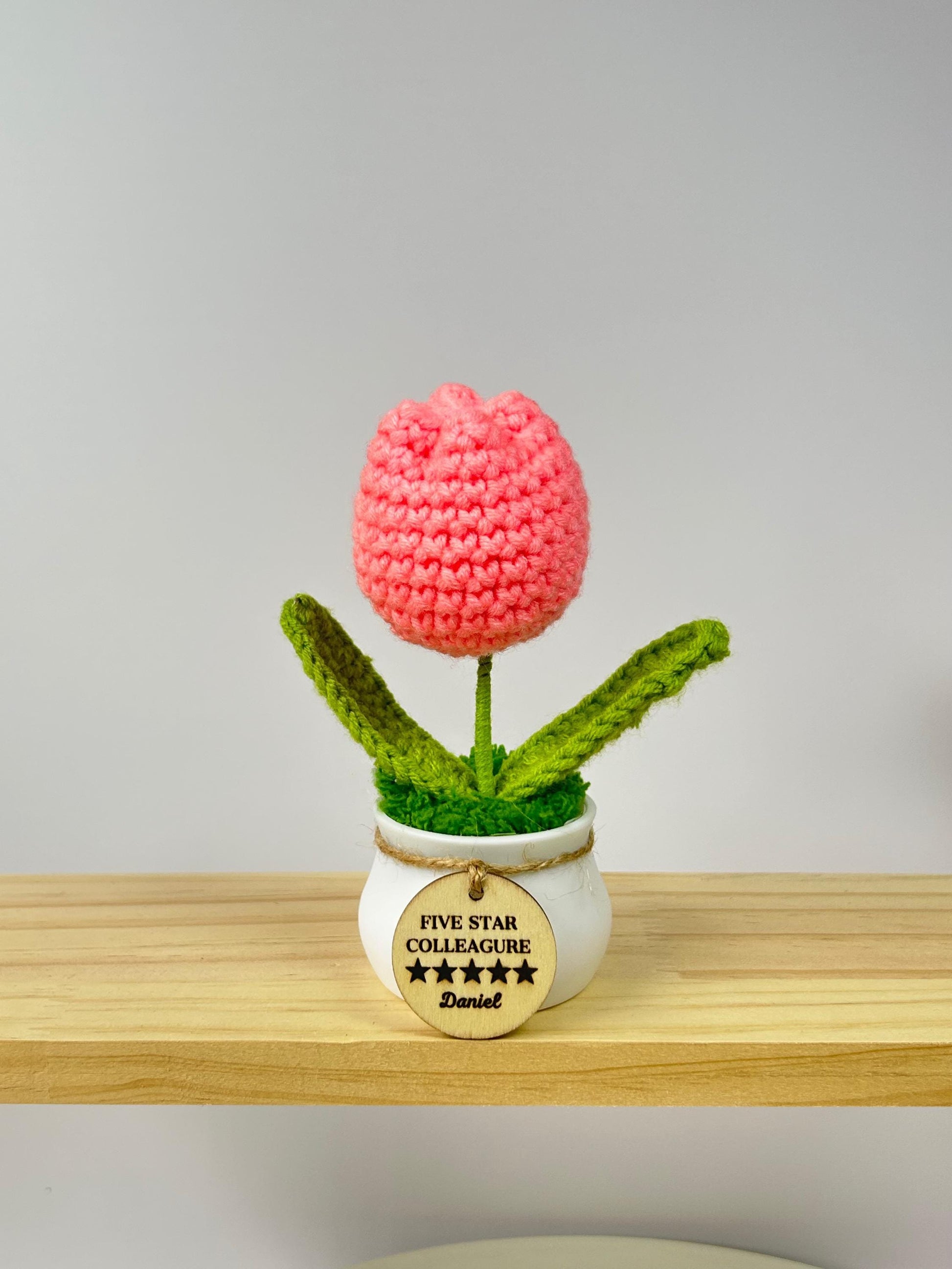 Crochet Flower Pot: Sunflower, Tulip - Desk Decor Gift