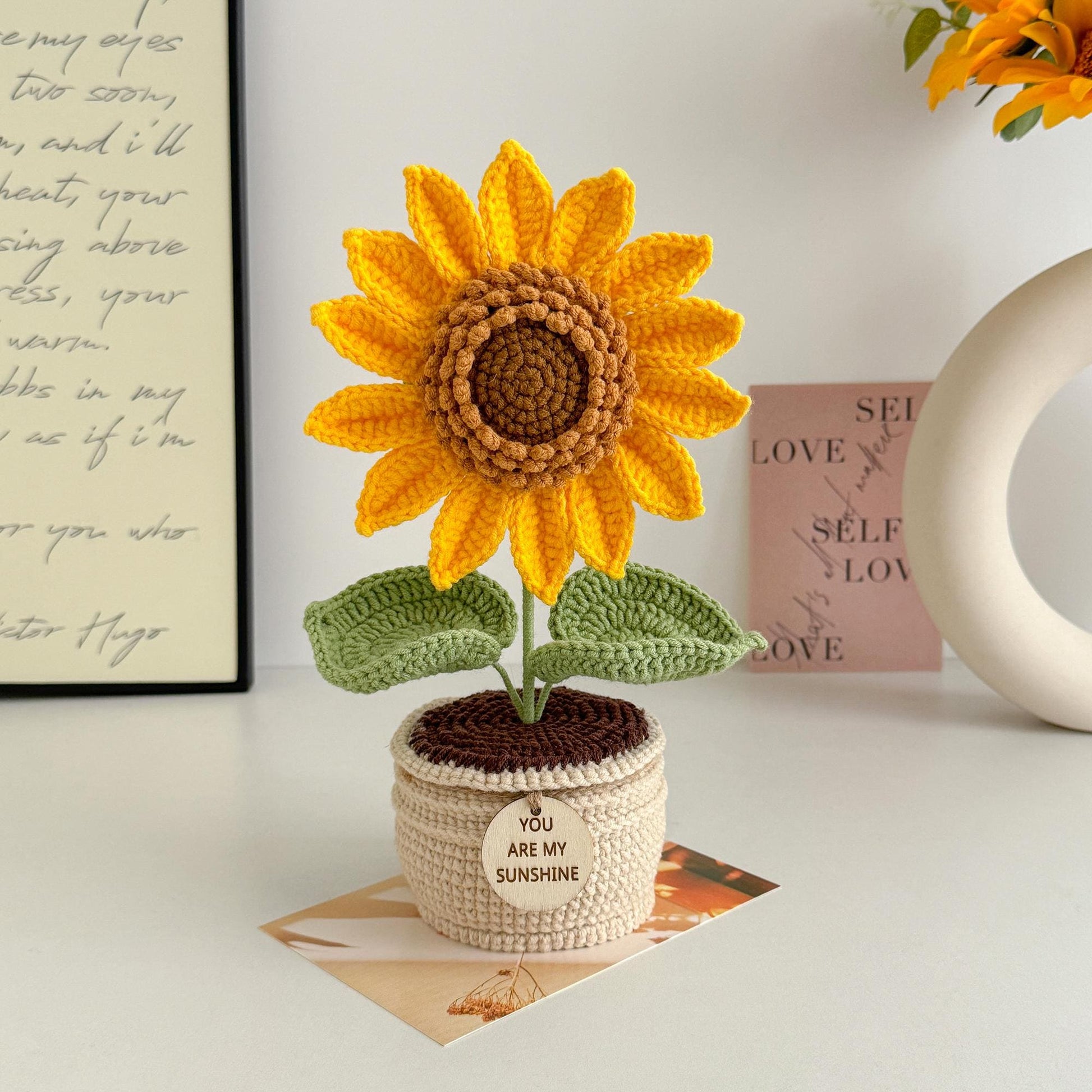 Handmade Crochet Potted Plant: Custom Engraved Tag, Emotional Support Gift