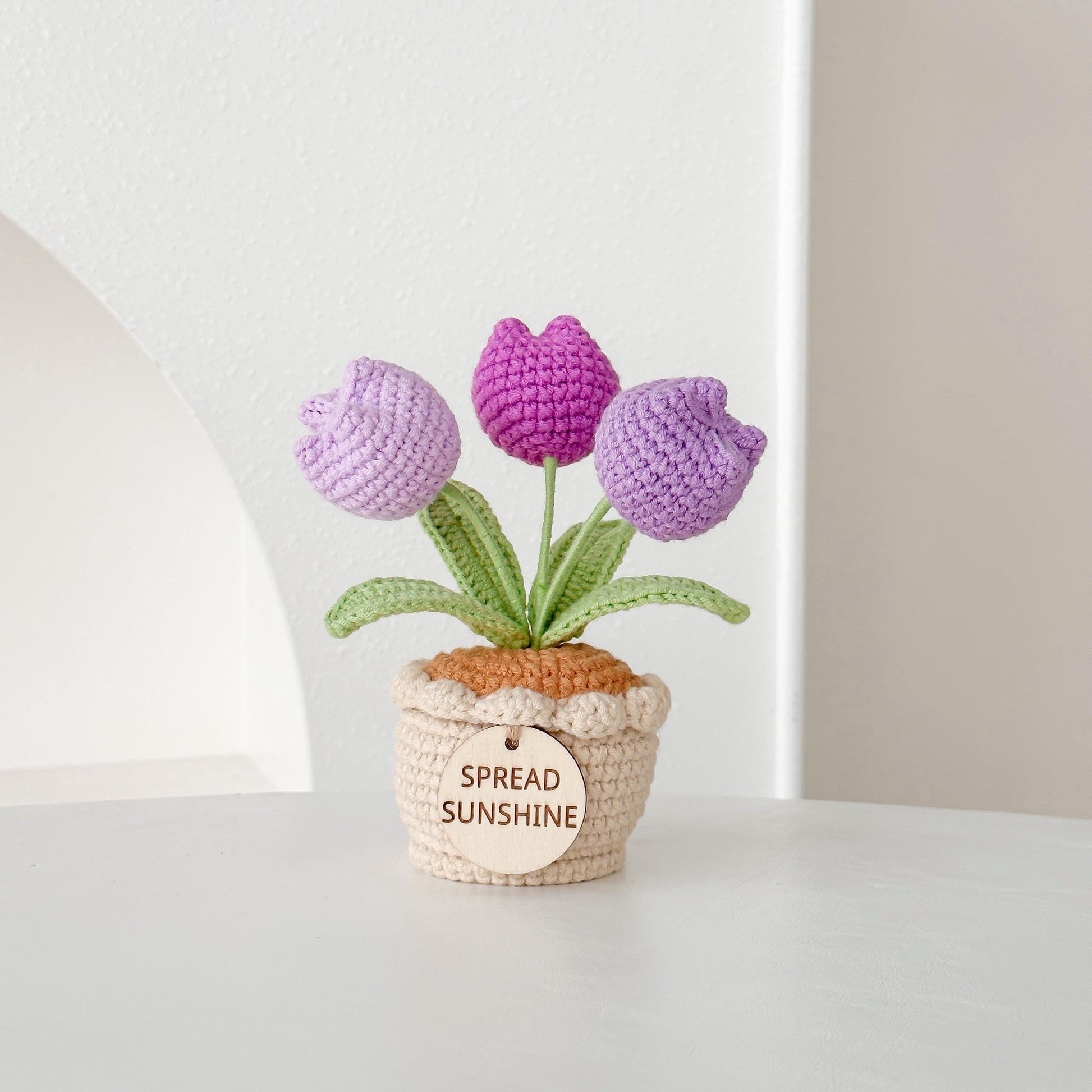 Crochet Flower Pot Gift Set: Handmade Sunflower/Tulip Desk Decor